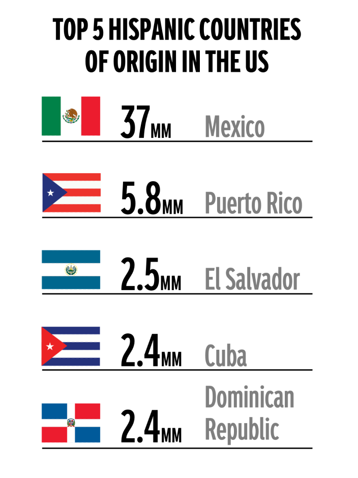 Infographic showing the top five hispanic countries of origin in the US: Mexico, with 37 million, Puerto Rico, with 5.8 million, El Salvador, with 2.5 million, Cuba, with 2.4 million, and the Dominican Republic, with 2.4 million.