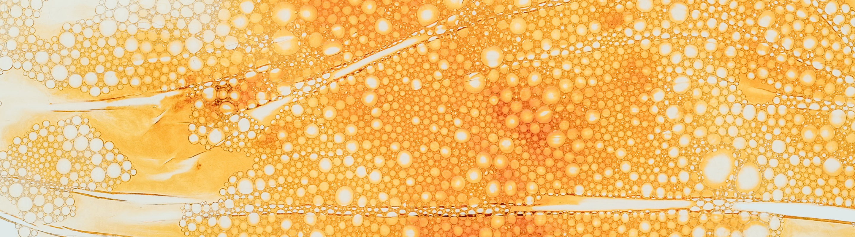 tan bubbles against white background